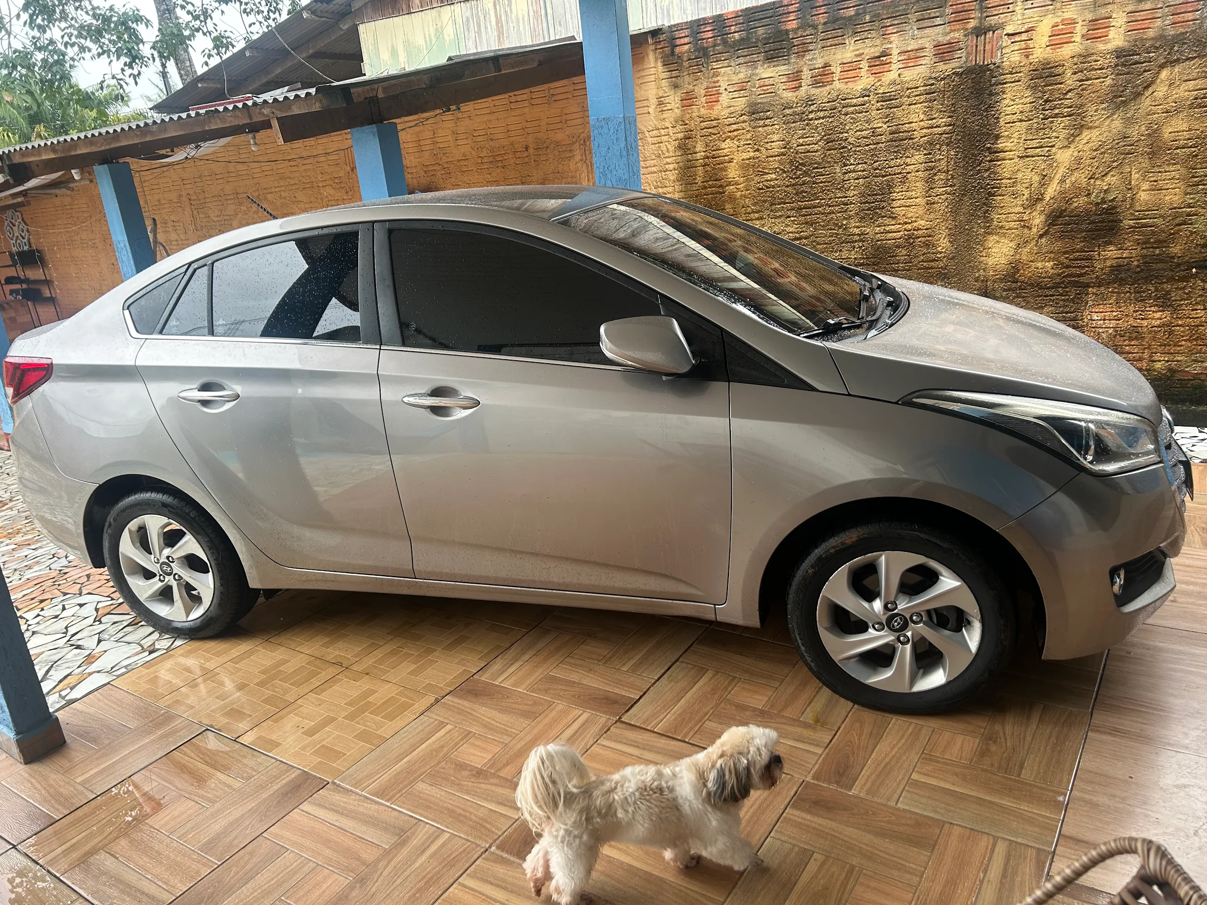 Carro inspecionado — Daniel Ribeiro